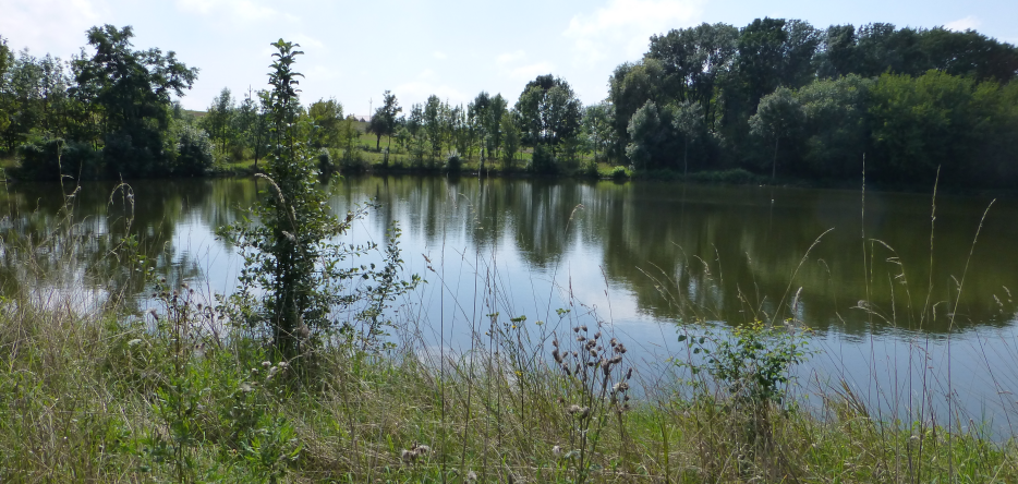 Un étang près de Telnitz