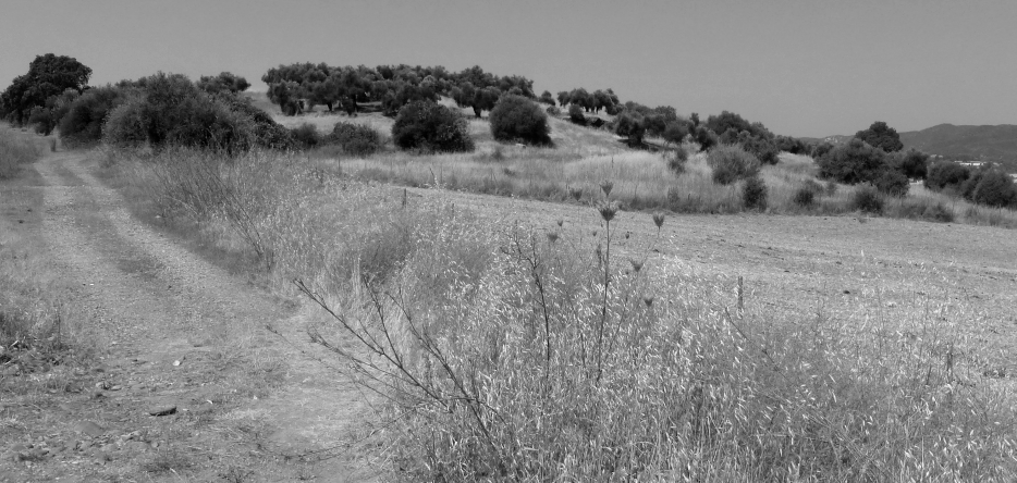 Un paysage de Castille