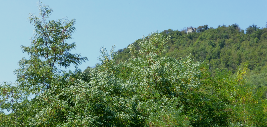 La colline et les ruines du château de Cosseria à son sommet