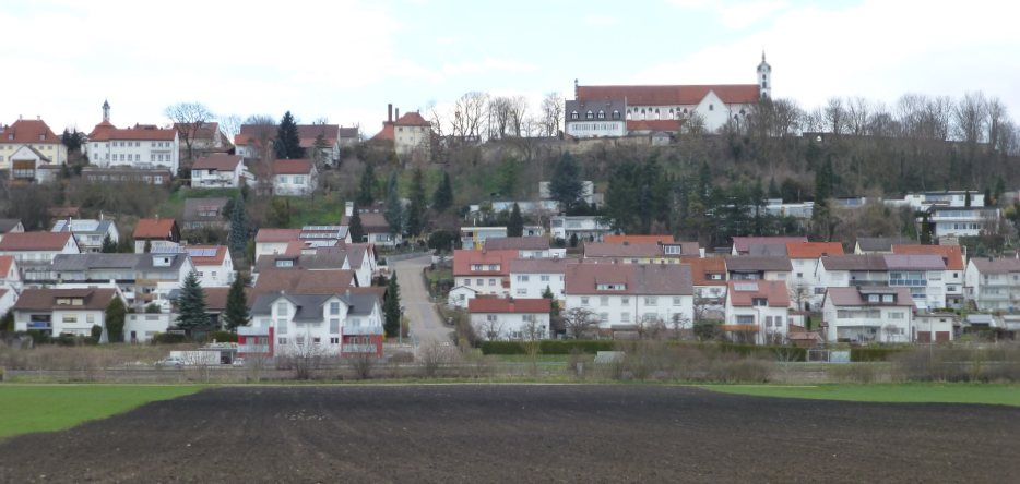 Vue d'Oberelchingen, depuis la rive nord du Danube