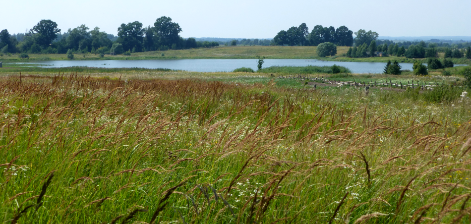 A pond, south of Lampasch