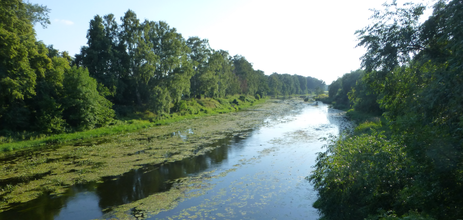 The river Alle upstream from Friedland