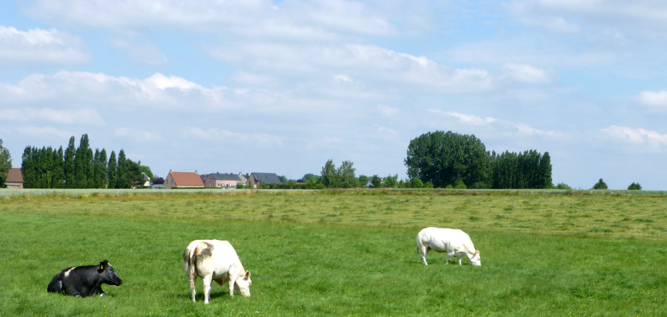 Le hameau de La Haye et le champ de bataille depuis Le Hameau de Saint-Amand