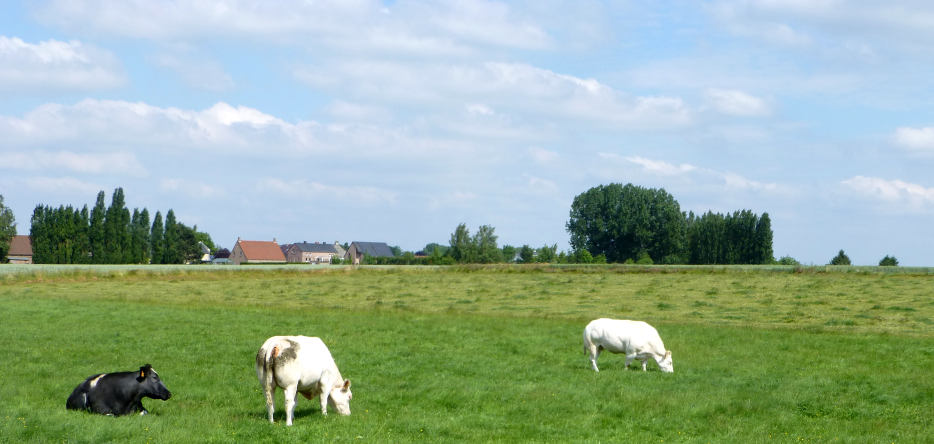 The hamlet of La Haye and the battlefield from the hamlet of Saint-Amand