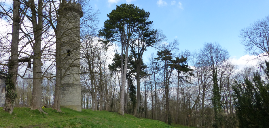 Ulm : The heights of Michelsberg