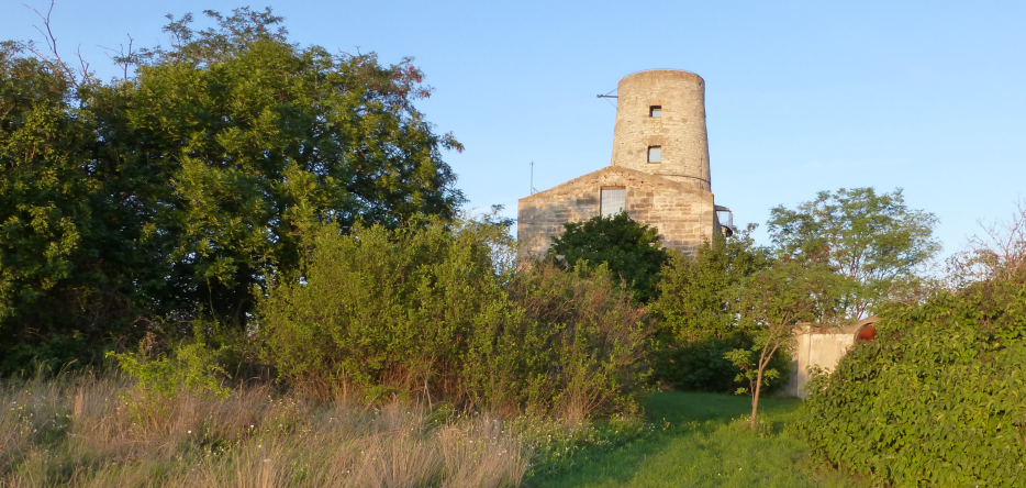 Markgrafneusiedl : la tour
