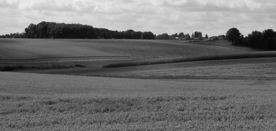 The Waterloo battlefield