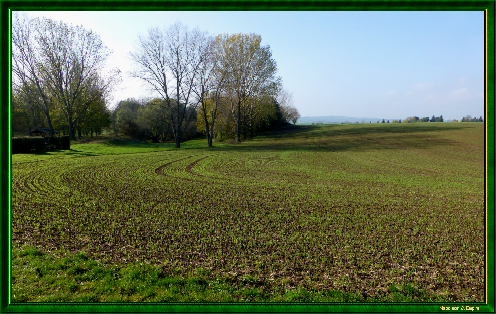 Field between Hassenhausen and Taugwitz, view 1