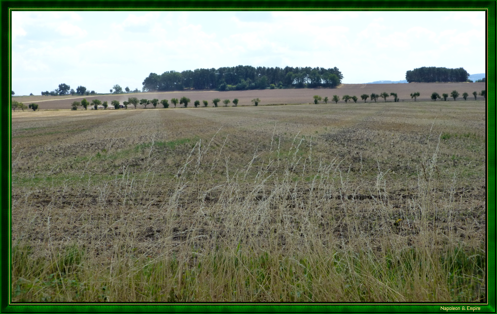 The battlefield between Baruth and Weissenberg, view 4