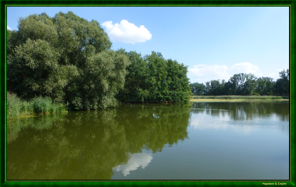 Un étang entre Malschwitz et Pliesskowitz