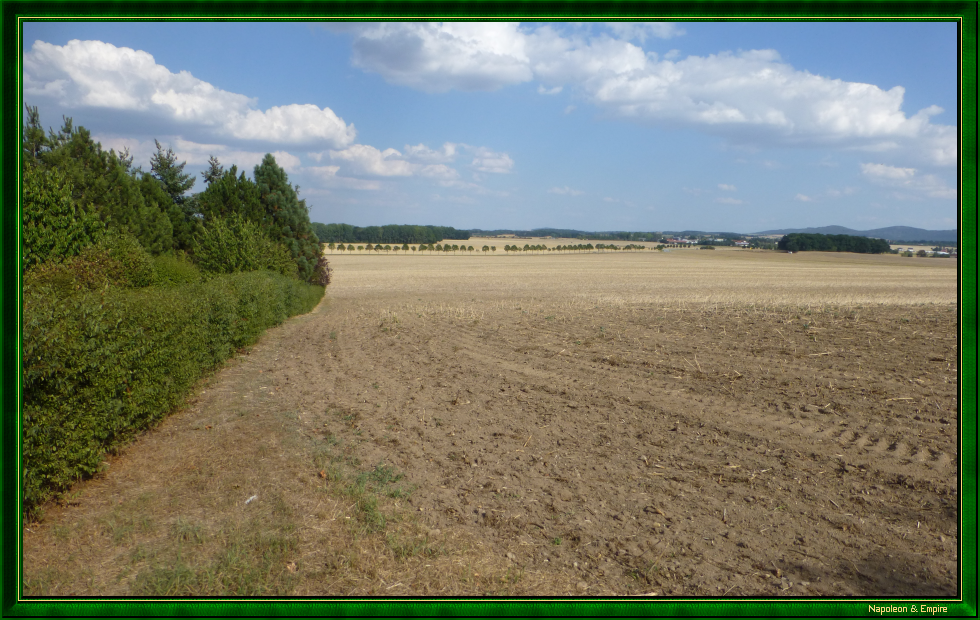 Une vue du champ de bataille depuis le Napoleonsberg à Niederkaina