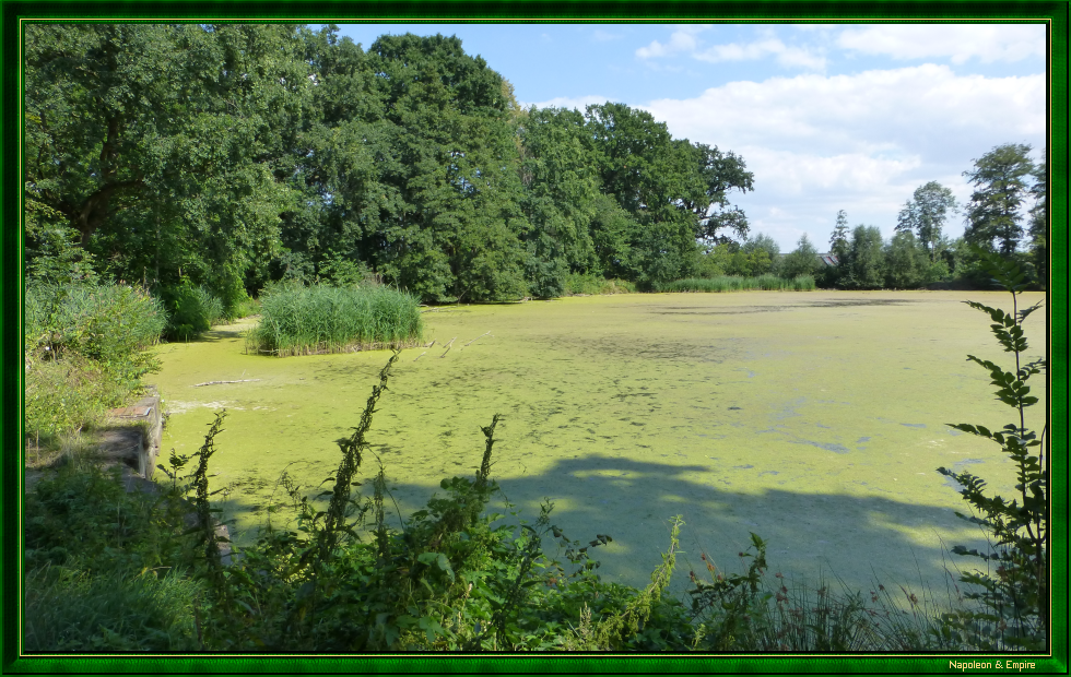 Pond near Wasserschloss Castle in Wurschen
