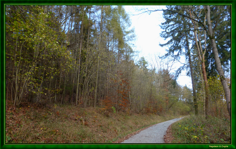 Chemin à travers le bois d'Isserstedt