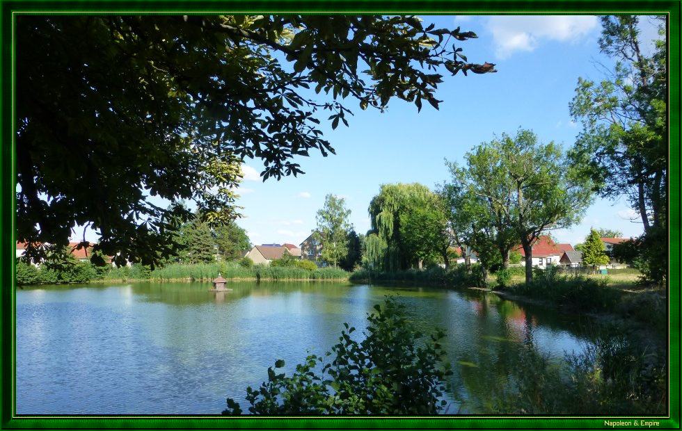 A pond in Großpösna, view 2