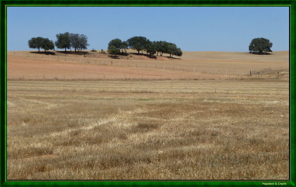 Field near Calvarrasa de Arriba