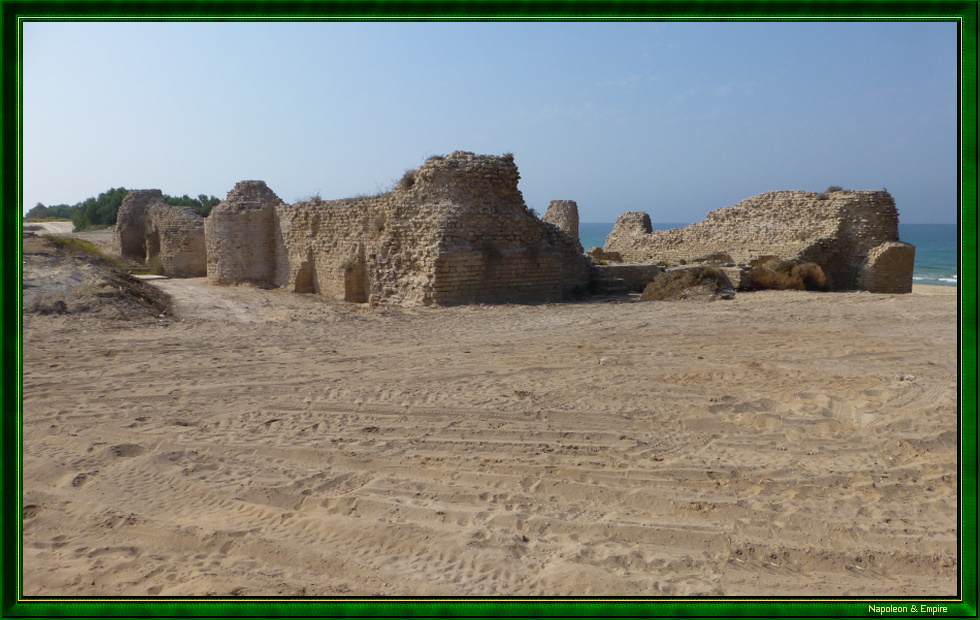 Ruines de la citadelle à Ashdod