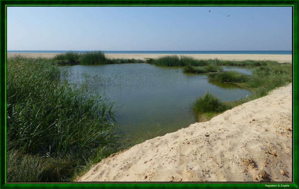Mouth of the El-Haddar River, view 1