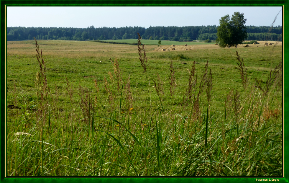 A field near Freimarkt [Wolnica]