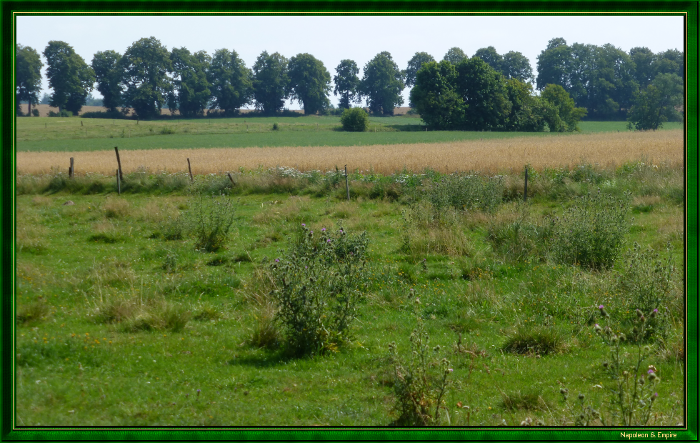 A field in Gross-Glandau [Glądy]