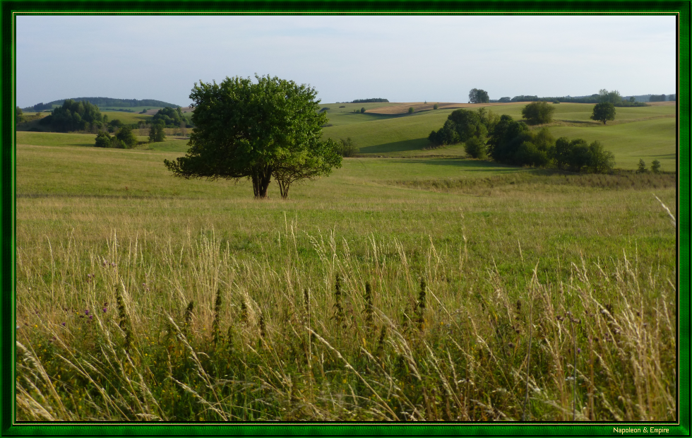 A field in Waltersdorf [Wlodowo]