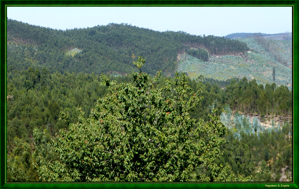 Panorama depuis le moulin de Moura, vue 1