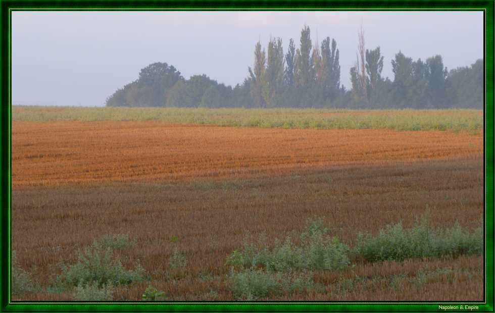 Field at dawn towards Sokolnitz (view number 2)