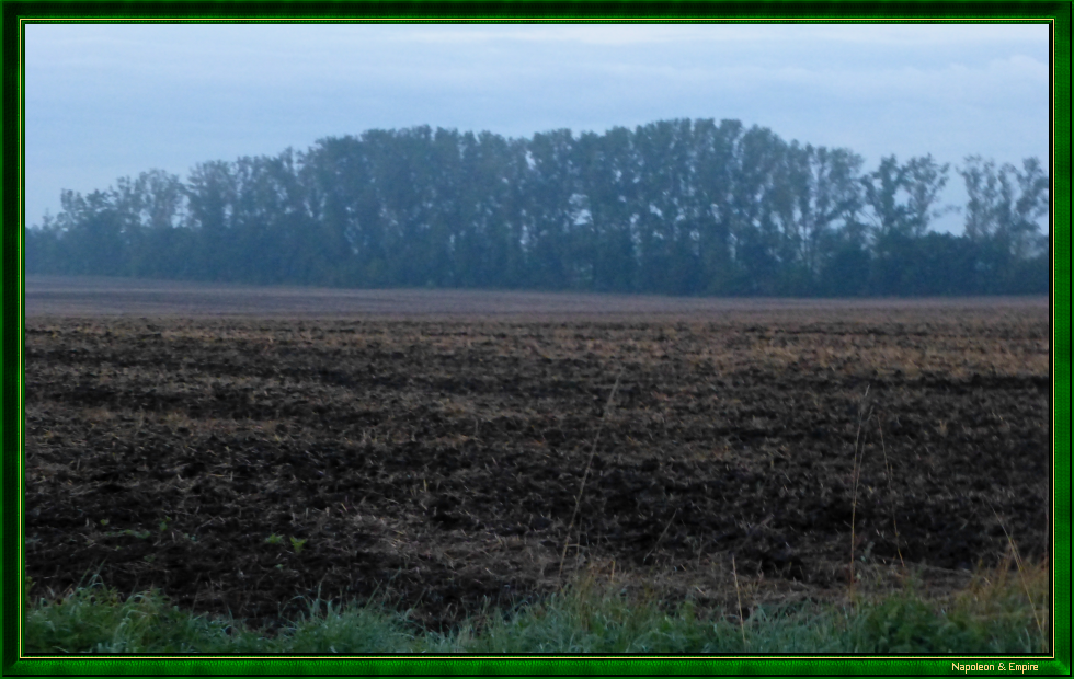 Field at dawn towards Sokolnitz