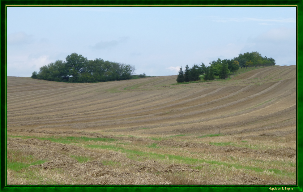 Field near Krenowitz (view number 2)