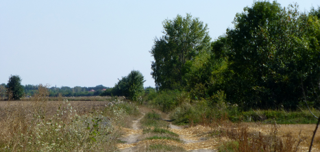 The Pułtusk battlefield