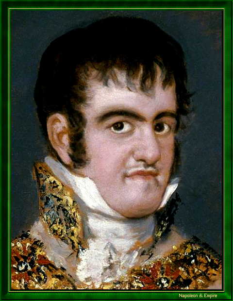 "King Ferdinand VII of Spain" by Francisco José de Goya y Lucientes (Fuendetodos 1746 - Bordeaux 1828).